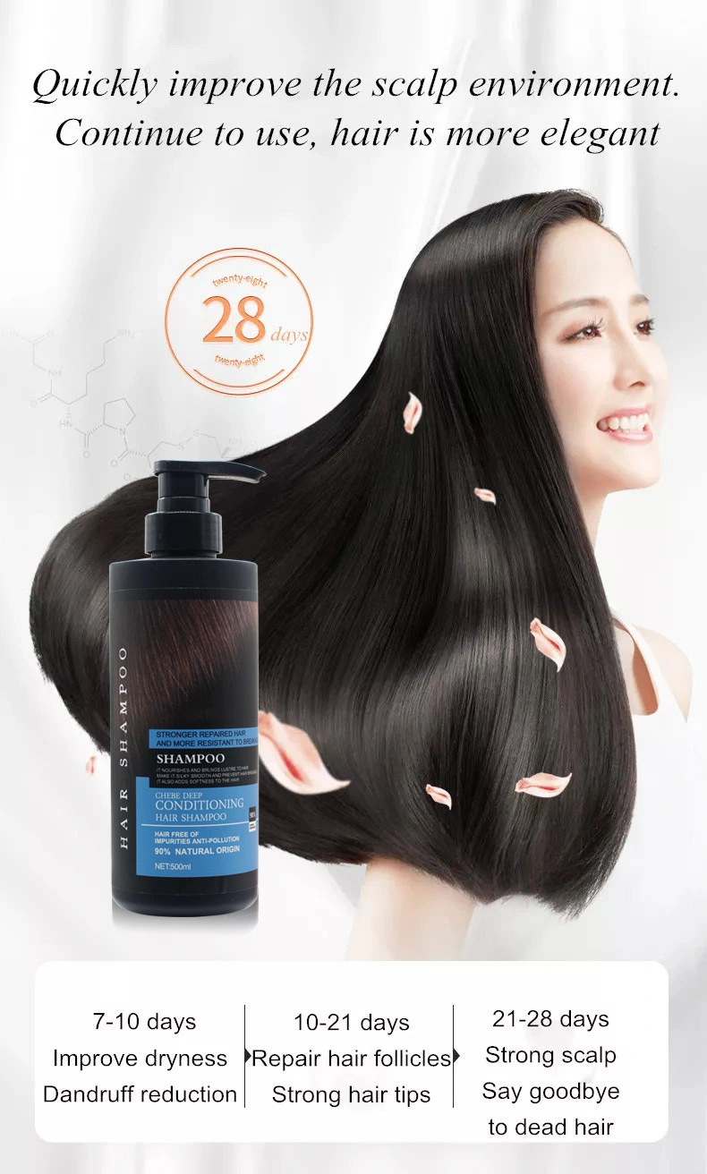 Cosmetics Hair Beauty Care for Moisturizing Cleansing Dandruff Salon Hair Shampoo